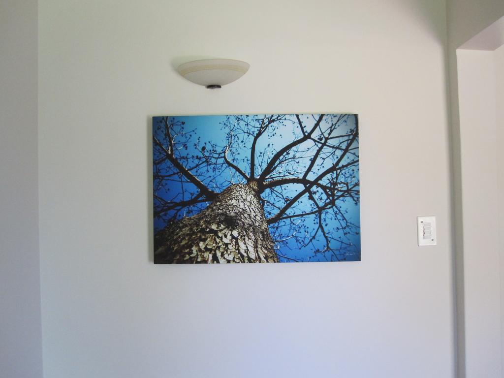 The Pecan Tree Guesthouse Sandton Luaran gambar