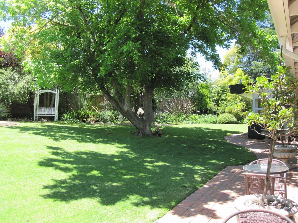 The Pecan Tree Guesthouse Sandton Bilik gambar